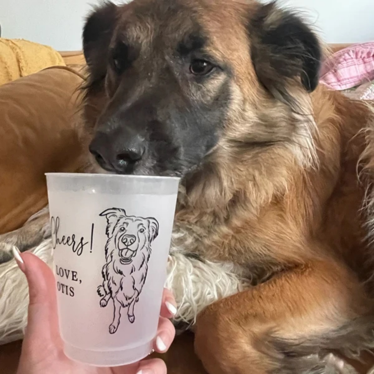 10/50 맞춤형 강아지 고양이 애완동물 초상화 반투명 - Plastic Cup 50Pcs 리뷰 및 가격